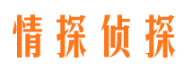 陵水外遇出轨调查取证